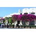 Hotel Verginia Sharm Resort & Aqua Park 4* Sobe